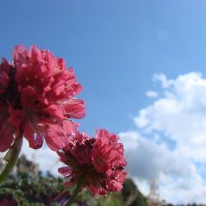 Meet your Posher, Rianne